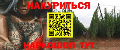 PSILOCYBIN Северобайкальск