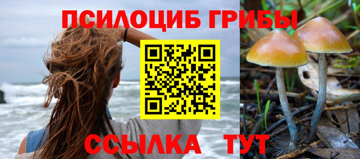 Галлюциногенные грибы GOLDEN TEACHER Саранск