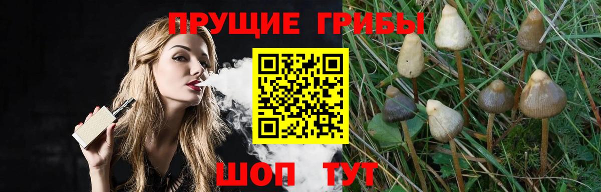 Саранск  Галлюциногенные грибы Cubensis  Галлюциногенные грибы Cubensis  Вход с VPN 
